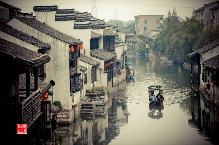 月季什么时候开花-专业问答网站，提供精准解答